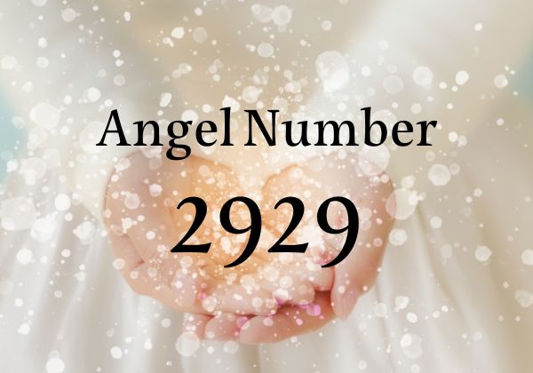 【2929】エンジェルナンバー｜ライトワーカー、ツインレイ、恋愛の意味