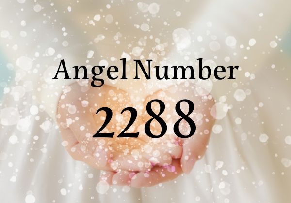 【2288】エンジェルナンバー｜恋愛、復縁、金運に関するメッセージ