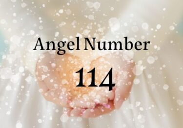 【114】エンジェルナンバー｜車のナンバーで見る意味は？ツインレイ、恋愛、復縁、片思いのメッセージ